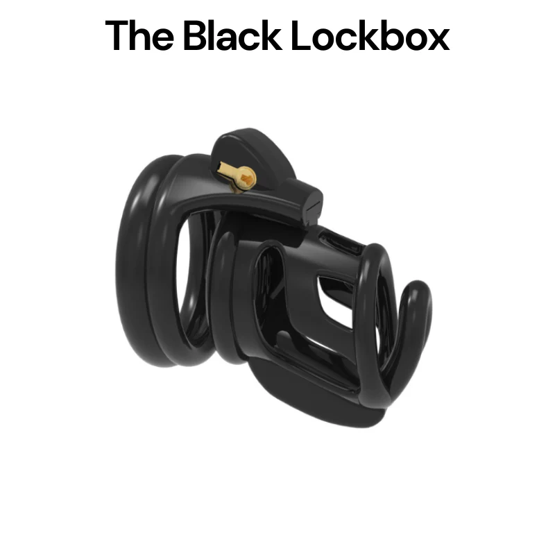 Beginner Cage Bundle: Cucky Hubby + Black Lockbox (15% Bundle Discount) - Image 6