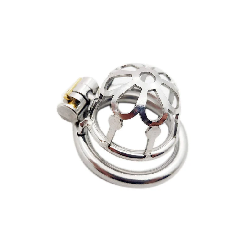 Cage of Domination: Steel Cock Cage (31 mm) - Image 3