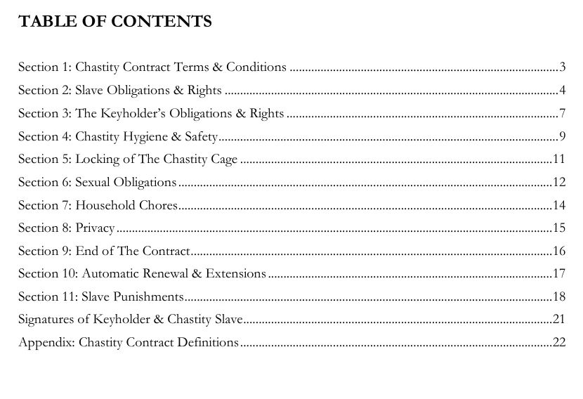 Chastity Slave Contract - Image 2