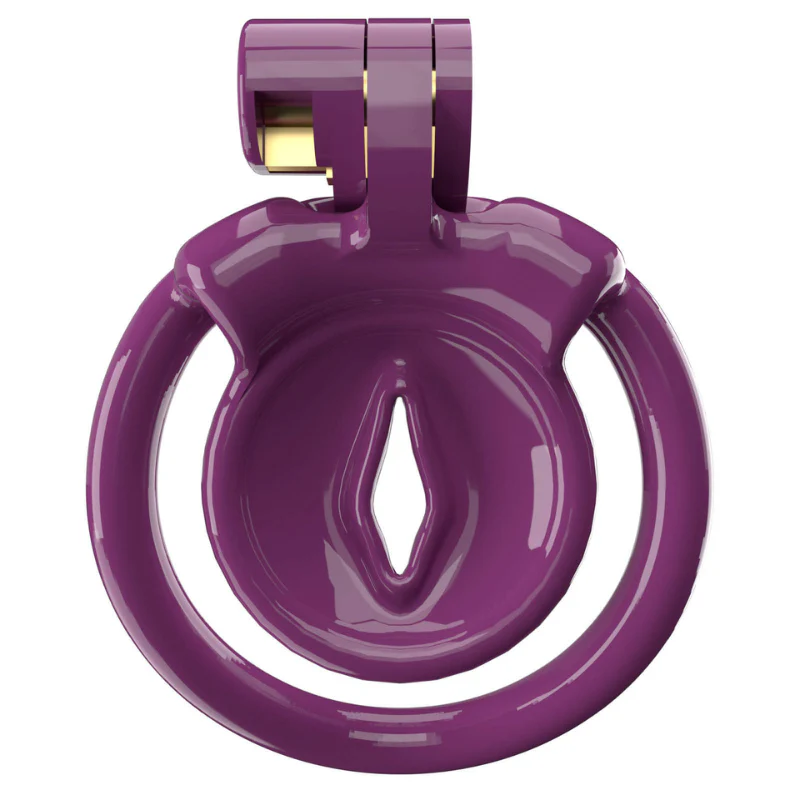 Resin Clit Cage: Inverted Vagina Chastity Cage - Image 3