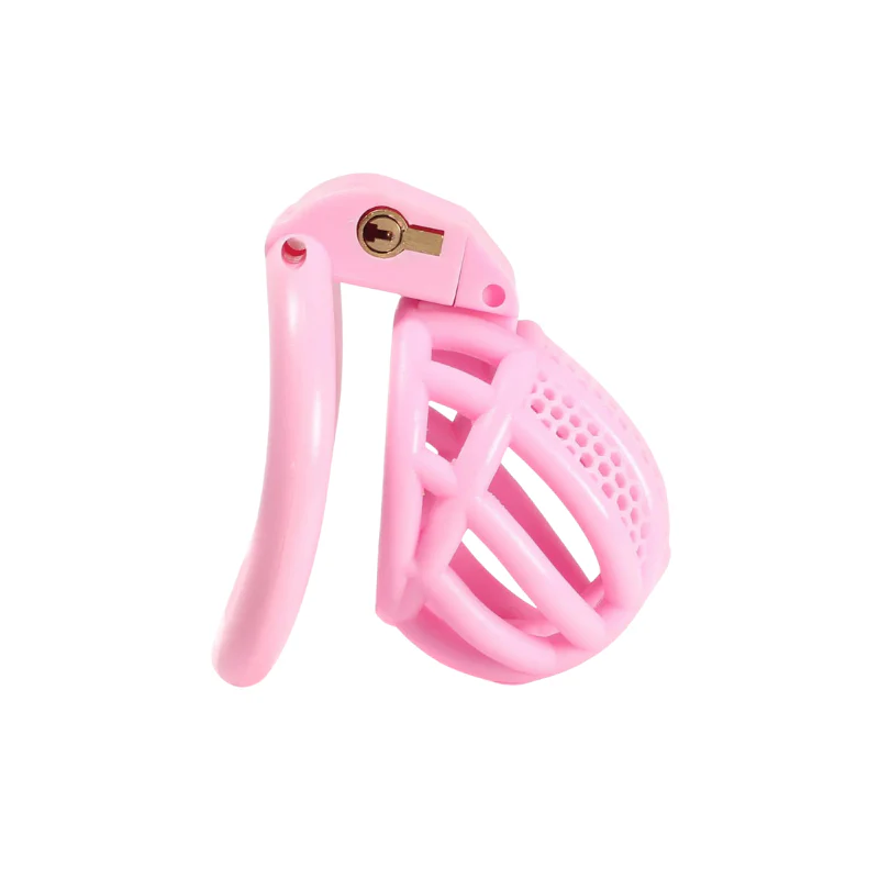 The Cucky Detention (Mini Edition): Micro Resin Chastity Cage - Image 3