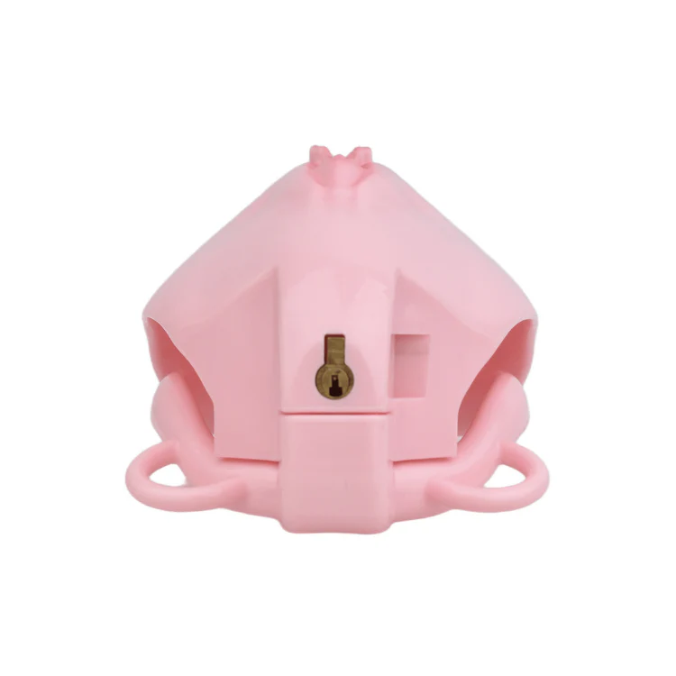 The Pretty Sissy: Pussy Shaped Chastity Cage With Anal Plug - Image 7