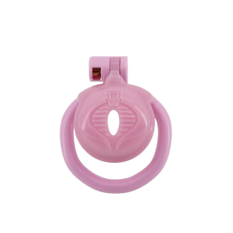 The Pussy Denier: Vagina Shaped Resin Micro Cage - Image 3