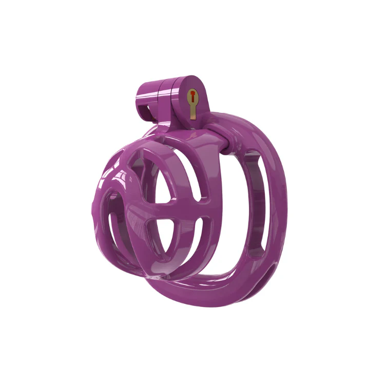 The Pussyless Beta: Micro Resin Cage With Straps - Image 4